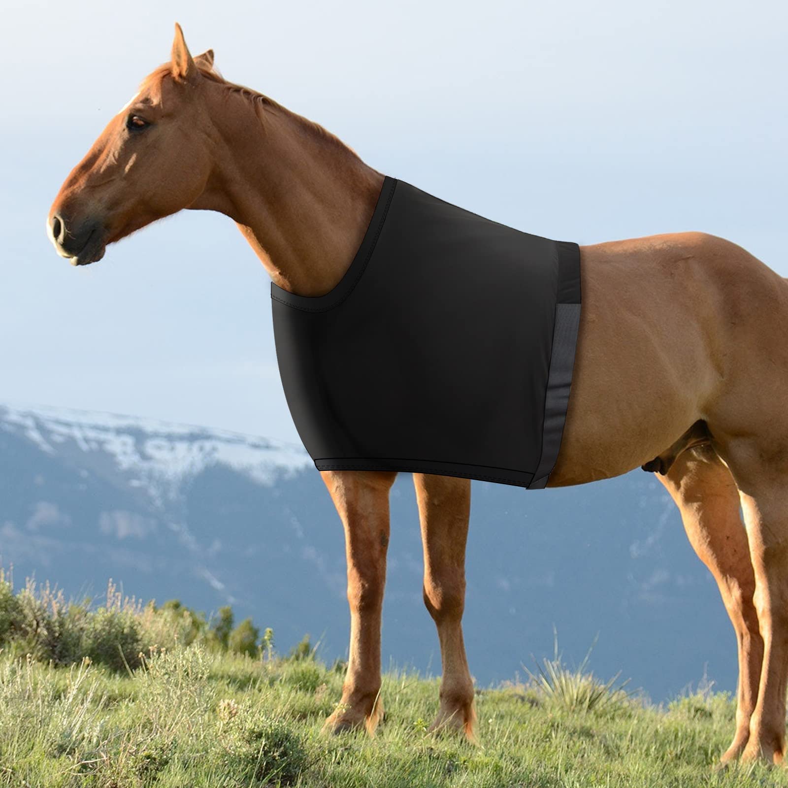 Épaulière pour cheval – Épaule Sleegee pour cheval, protection d'épaule de cheval en tissu hautement élastique, protection d'épaule réglable pour le confort du cheval | Confortable avec Épaulière pour cheval – Épaule Sleegee pour cheval, protection d'épaule de cheval en tissu hautement élastique, protection d'épaule réglable pour le confort du cheval | Confortable avec