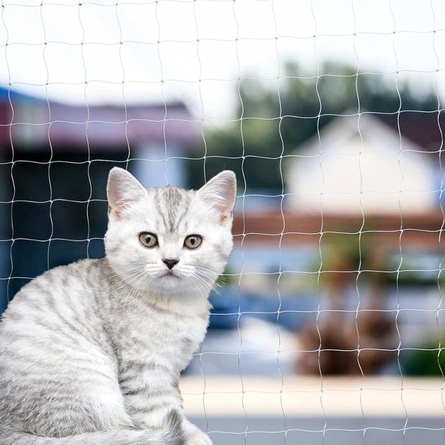 Rete di protezione per gatti da balcone, rete trasparente in nylon per animali domestici, rete anticaduta per finestre e scale, 3 x 2 m