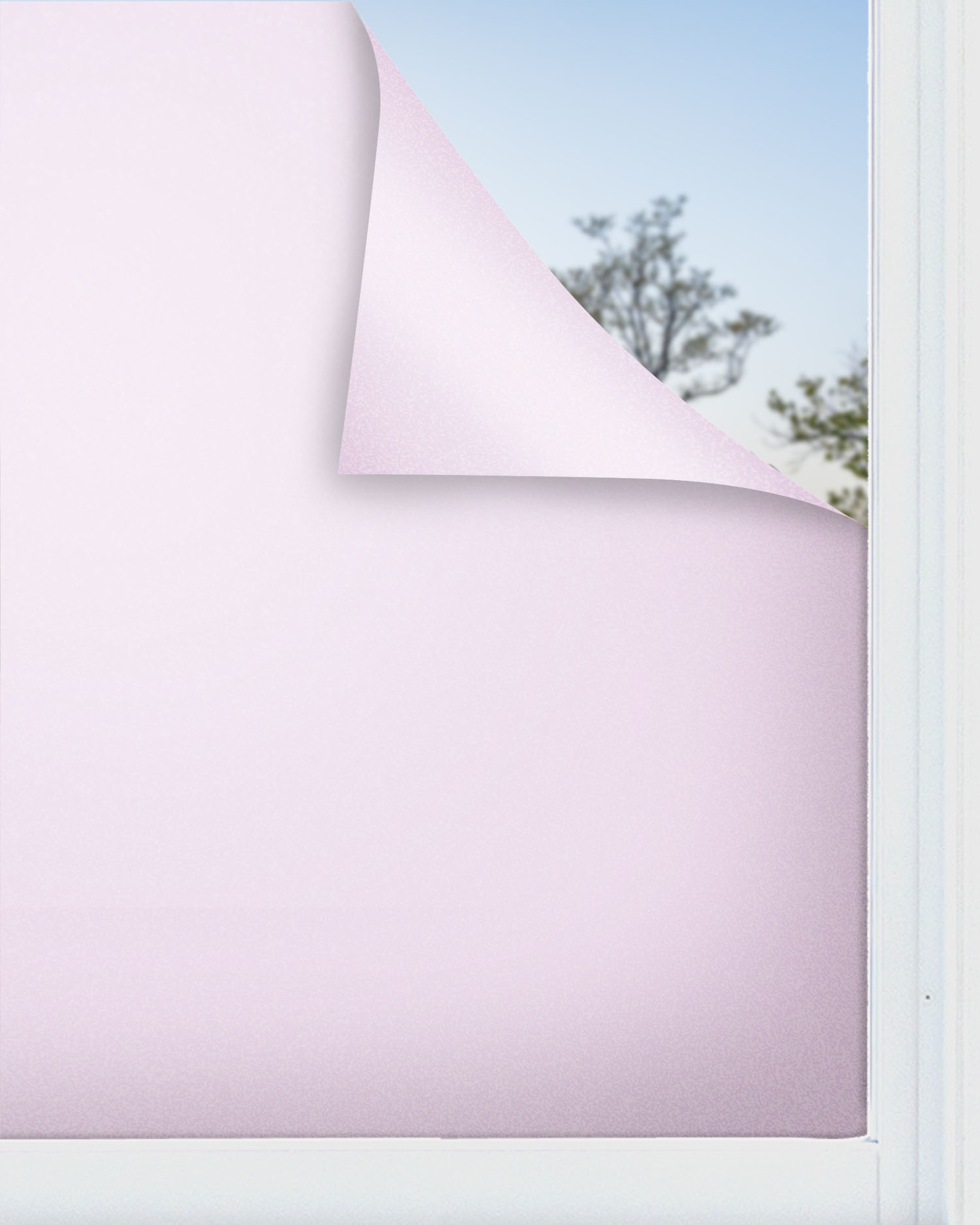 Panorama vinilo para ventanas adhesivo lila 120x200 cm - vinilos adhesivo para cristal - pegatina opaca - vinilo translúcido