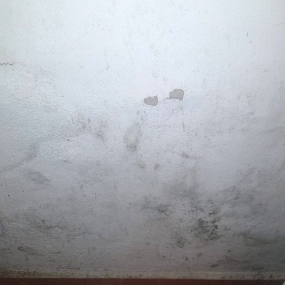 Peinture mate anti-moisissure pour intérieur (25 kg, acrylique mat avec frottement supplémentaire) - Peinture respirante qui empêche la condensation - 4