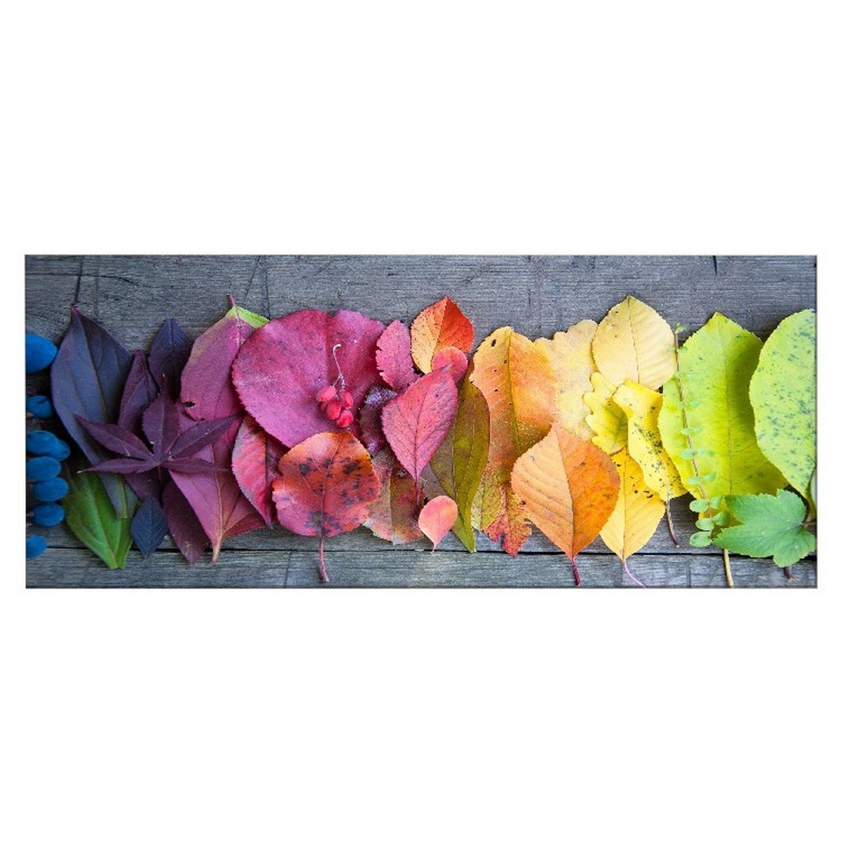 Tableau sur toile Seamless avec des impressions de peinture de feuilles de fougère