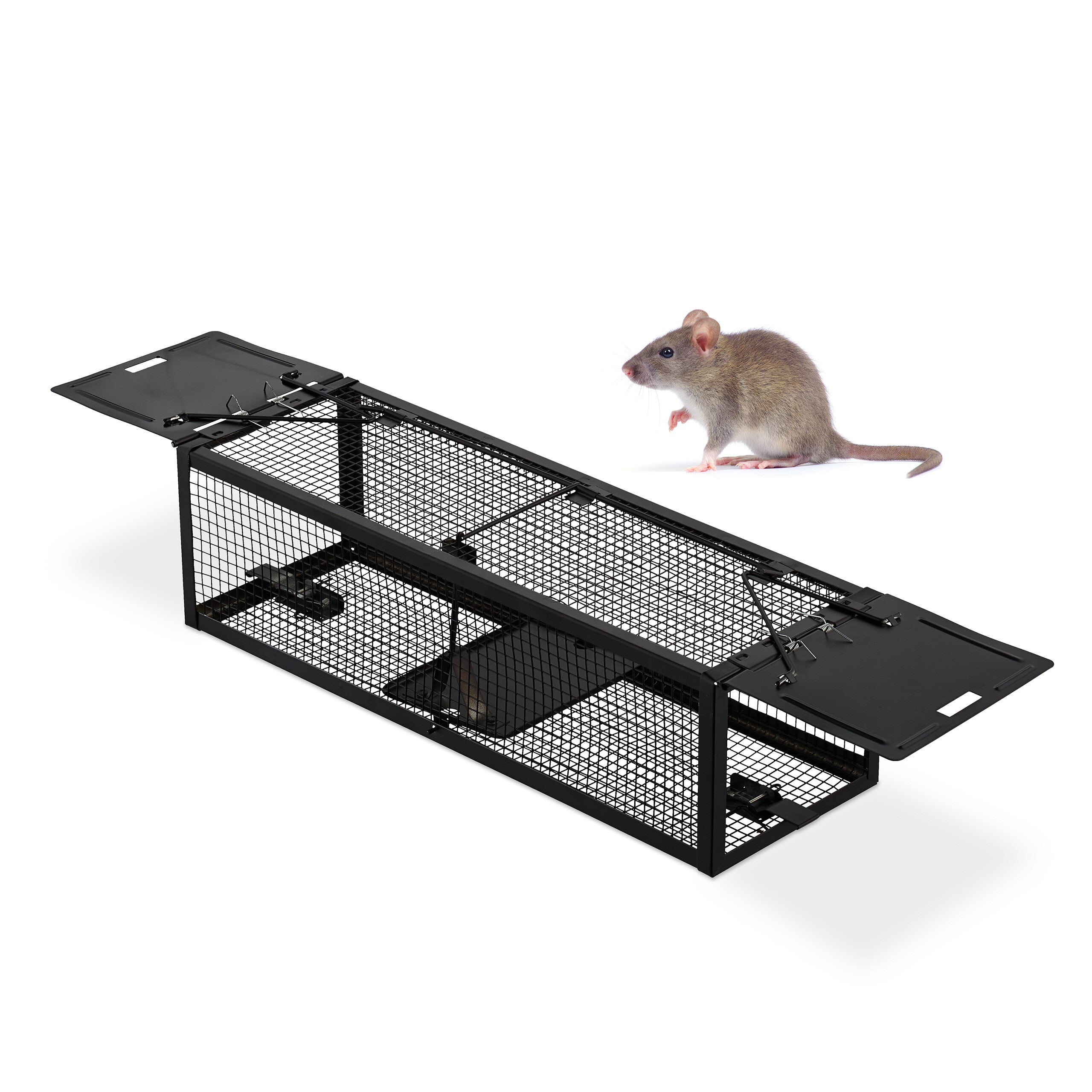 Relaxdays Piège à souris vivante, respectueux des animaux, cage antisouris, H x L x P 11 x 39
