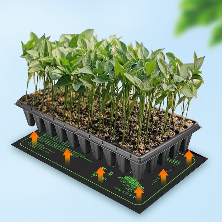 COONOOR Tapis chauffant pour semis pour le démarrage des graines, coussin chauffant étanche 25 x 52 cm pour la Germination des plantes hydroponique - 2