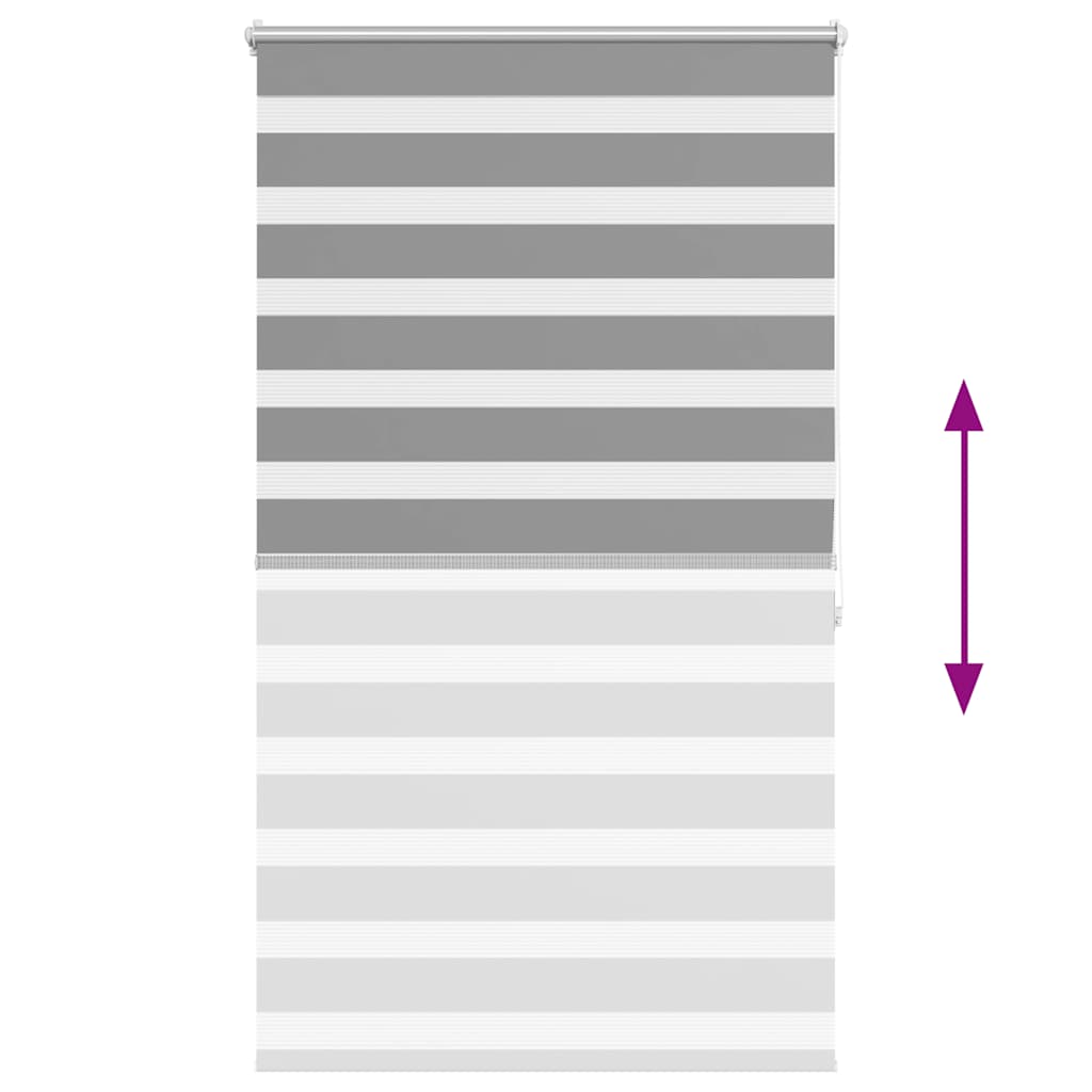Maison Exclusive - Tenda a rullo oscurante zebra 80x175cm grigia - 5