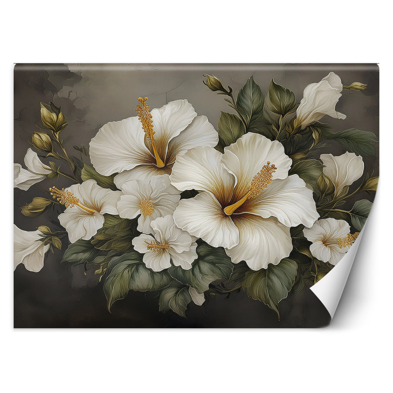 Fototapeta, Biały kwiat hibiskusa 250x175