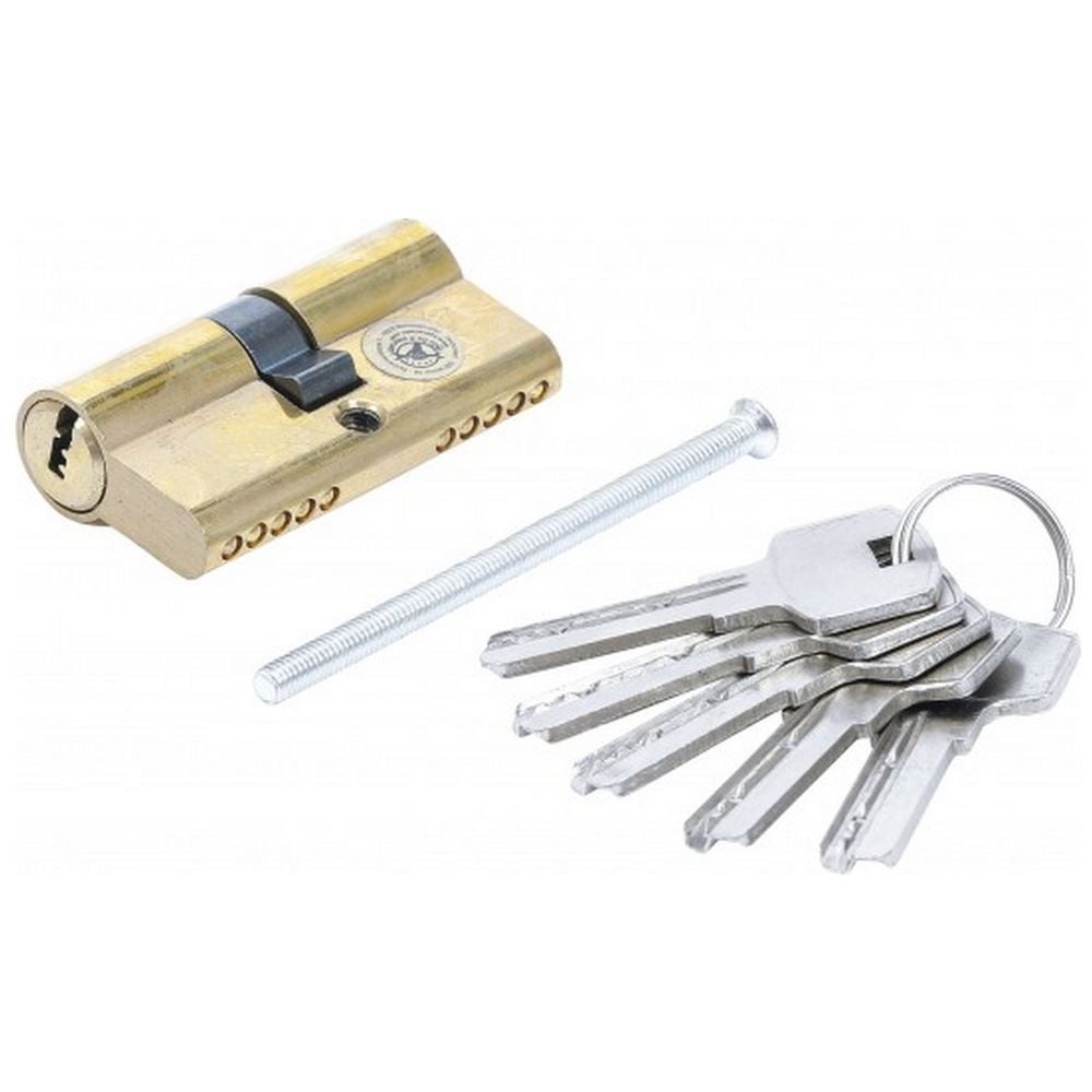 Canon cylindre avec 3 cles pour serrure electrique 5001.1z