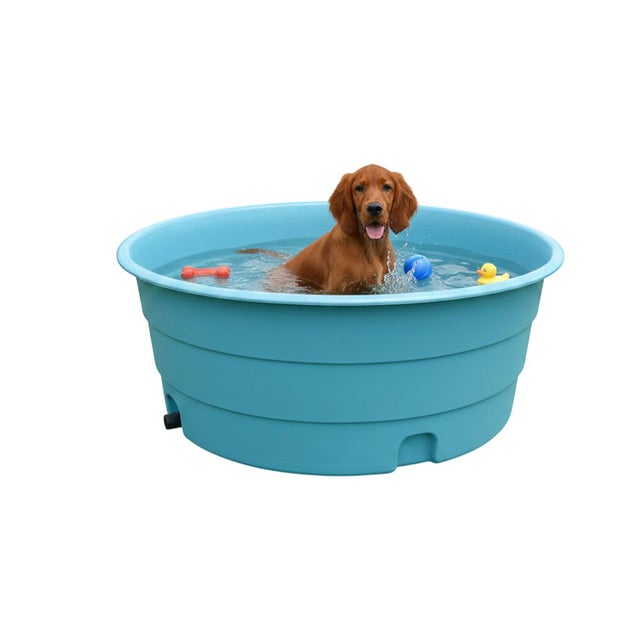 Bassin pour animaux 900l - plast'up rotomoulage
