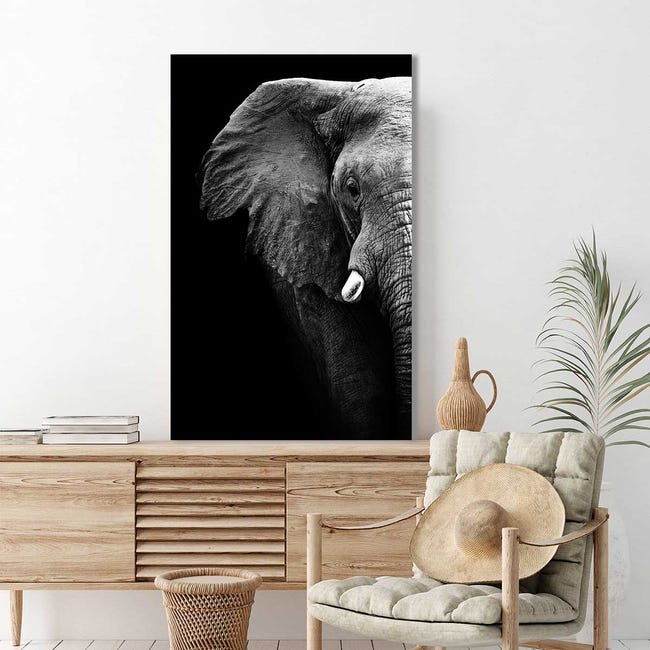 DECLINA Tableau Decoratif Le Petit Chat - Impression Photo Animaux sur Toile décoration Murale - Déco Maison, Cuisine, Salon, Chambre Adulte - Noir et Blanc 50x30 cm DECLINA Tableau Decoratif Le Petit Chat - Impression Photo Animaux sur Toile décoration Murale - Déco Maison, Cuisine, Salon, Chambre Adulte - Noir et Blanc 50x30 cm