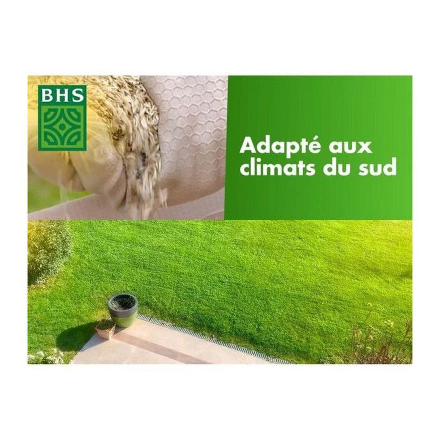 Graines de gazon rustique BHS - 3