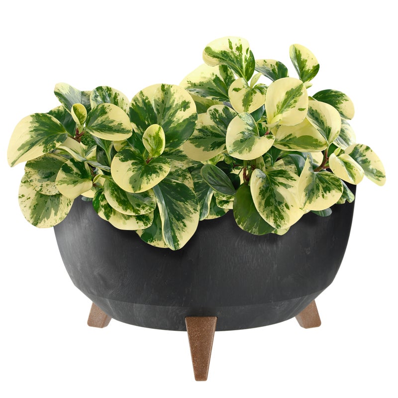 DONICZKA DONICA NA KWIATY 40cm OSŁONKA + WKŁAD NÓŻKI KOREK KWIETNIK CZARNY