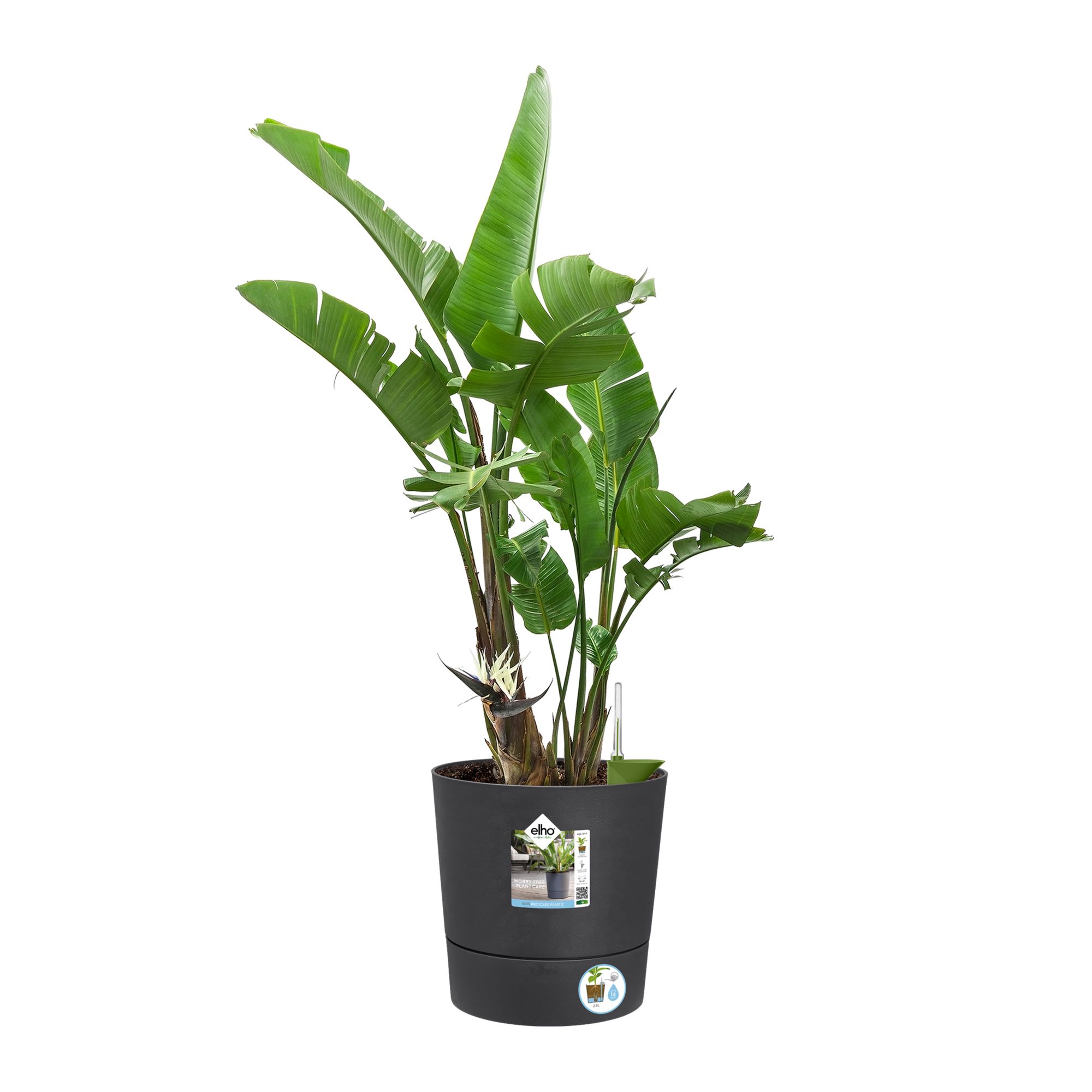 Pot polypropylène rond ELHO Greensense 30 cm, gris foncé - 9