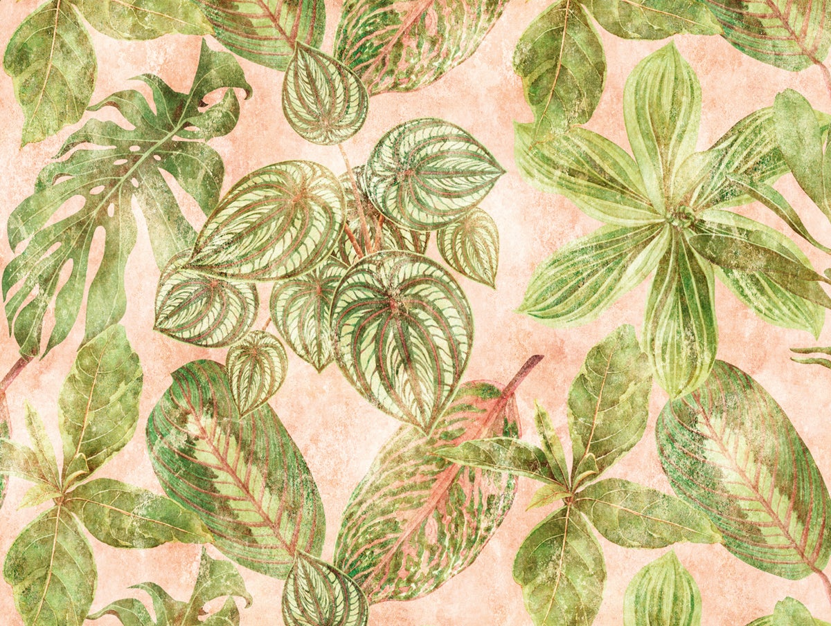 Papier Peint Intissé A.S. Creation Jungle 394353 – Vert Et Rose, 10,05 X 0,53 M, Lavable