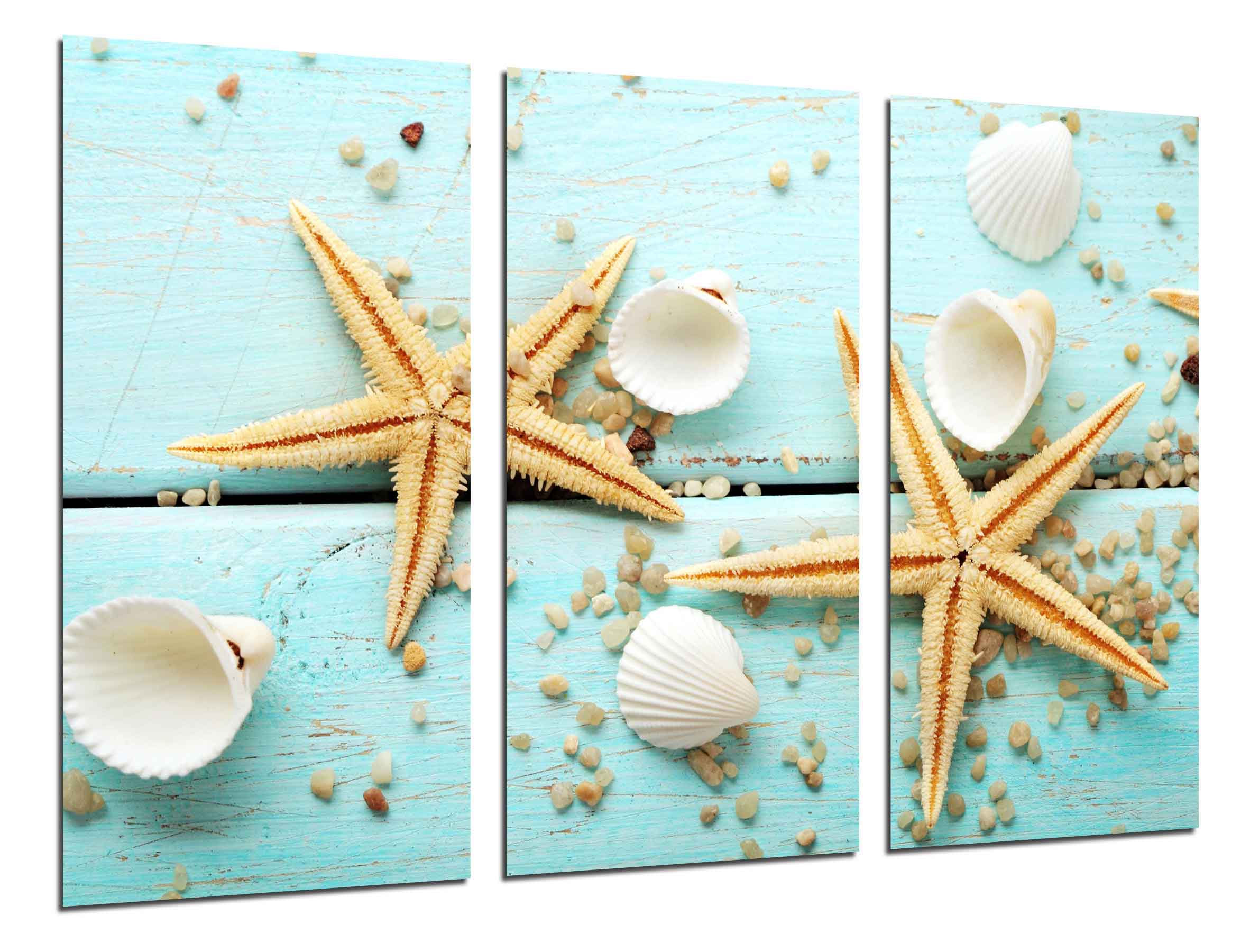 Thème marin vintage, étoile de mer, tirage photographique sur bois ...