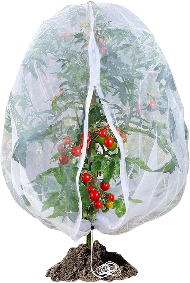 Filets Protection Plantes Anti-Oiseaux et Insectes, avec Fermeture Éclair + Cordon Serrage - pour Arbres Fruitiers, Légumes, Réutilisable (180x180 cm)