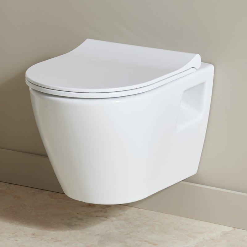 Cuvette Suspendue Pack Wc Alterna Verseau Pack Wc Suspendu Daily