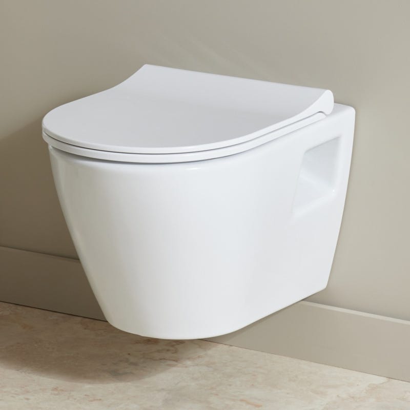 Cuvette Suspendue Pack Wc Alterna Verseau Pack Wc Suspendu Daily