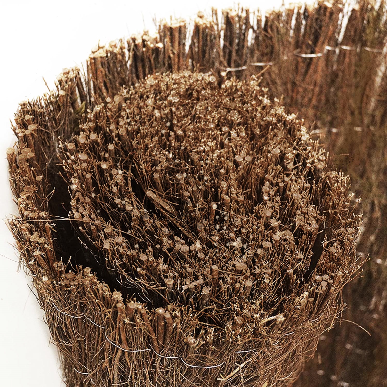 Oscurante naturale in erica 150 x 300 cm - 1 pezzo - KARAT - 4