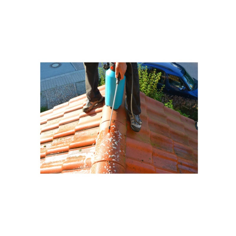 Traitement anti-verdissures 251 LANKO NET VERT - sols, façades & toitures PAREXLANKO - 150 à 200m² - 20 L - 5