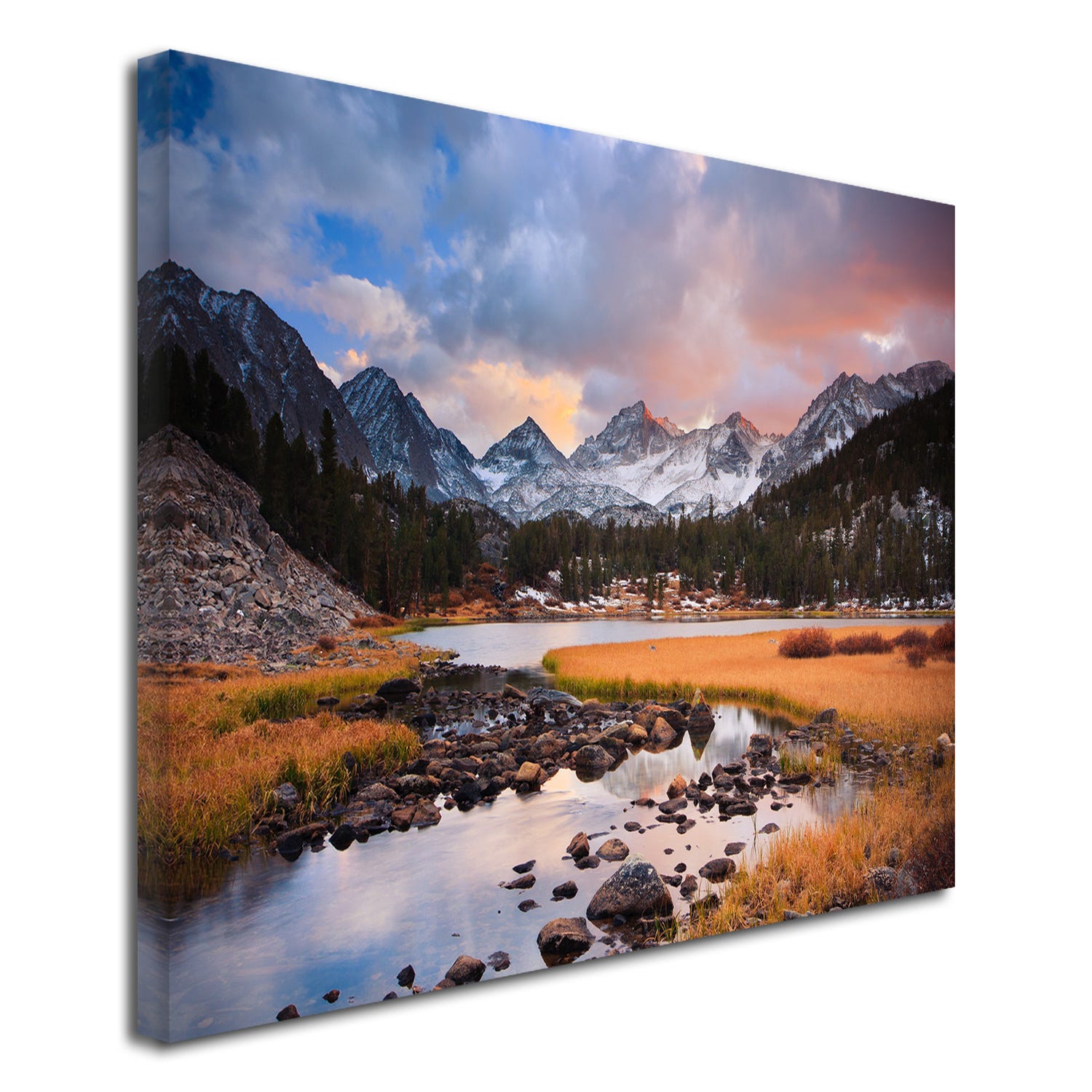 DECLINA Tableau Home Design Le Zebre – Quadro Su Tela 50x50 Cm, Stampa HD, Telaio In Legno Di Pino, Produzione Francese