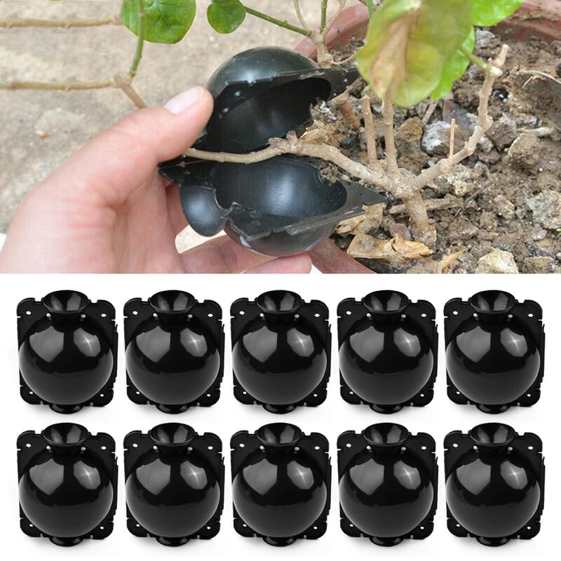 10 kul ukorzeniających do roślin - Skrzynka do szczepienia ogrodowego - Skrzynka do ukorzeniania sadzonek - Kule do sadzonek - 5 cm, czarne