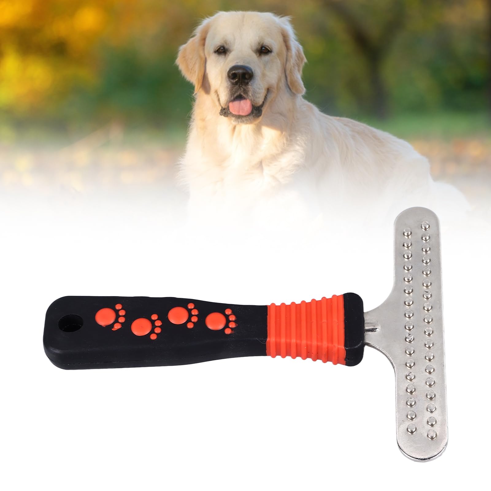 Pelo Largo Se Puede Cortar El Pelo A Un Golden Retriever Pelo - Main Image