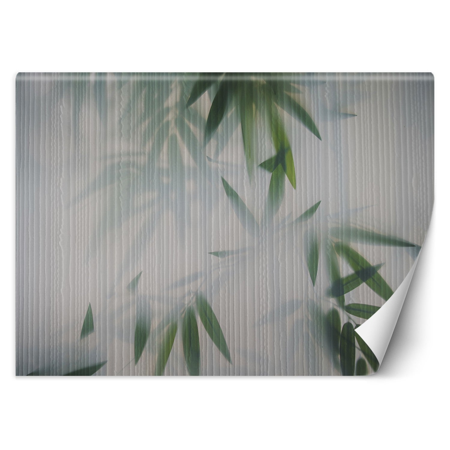 Fototapeta, Liście mgła natura 100x70