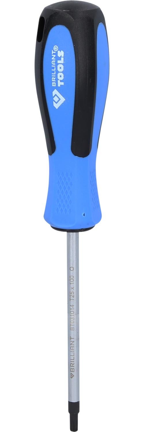 BRILLIANT TOOLS Wkrętak TORX T25 x 100 mm - BT031014