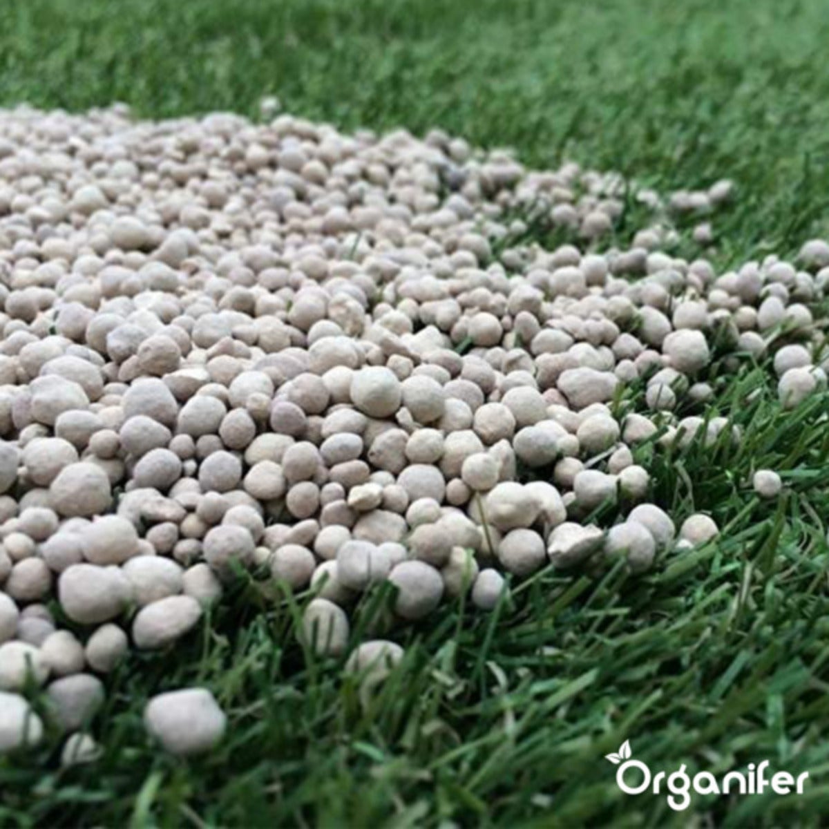 Engrais Calcaire Avec Magnésium - 40X = 800 Kg Pour 16.000 M2 - Organifer - 4