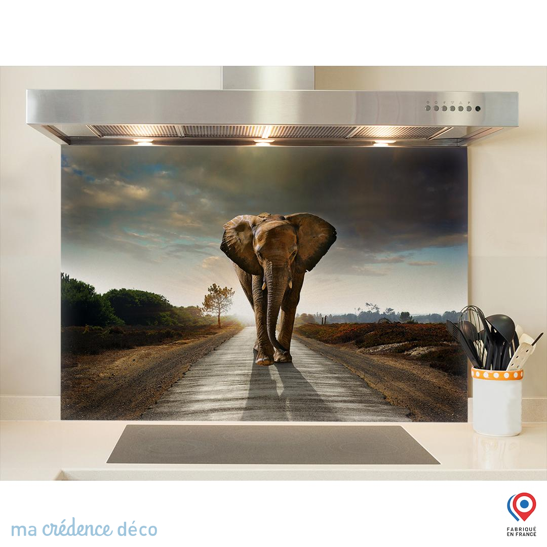 Generic Crédence en verre trempé, 90 cm x 65 cm, multicolore, résistant à la chaleur, facile à nettoyer, fixation murale