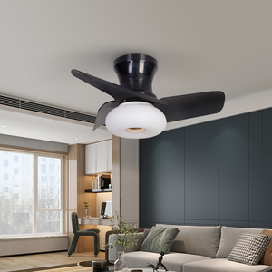 Baerolc Ventilatore da Soffitto con Luce, 40CM Dimmerabile Plafoniera