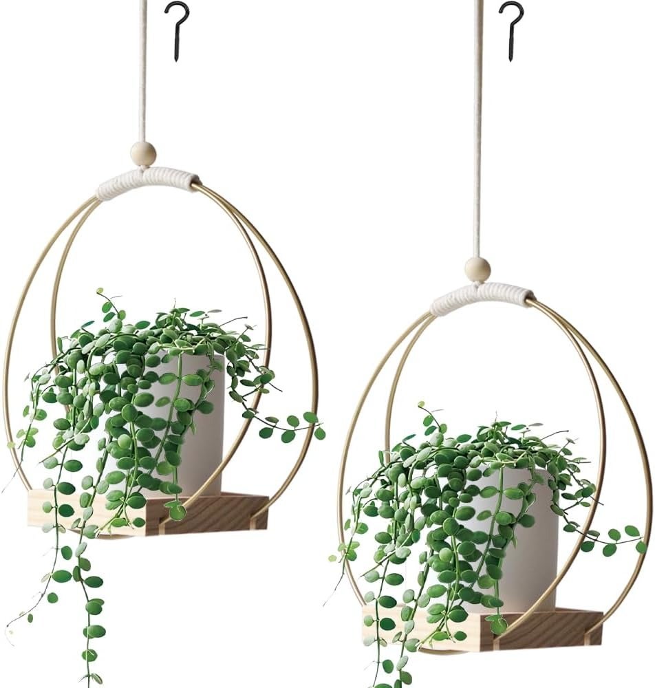 Paquetes de Planta Colgante con Base, Soporte para Plantas