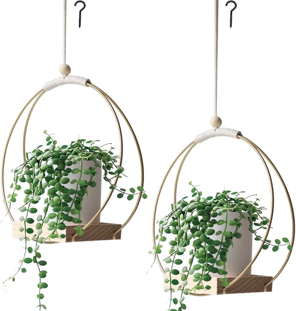 Paquetes de Planta Colgante con Base, Soporte para Plantas