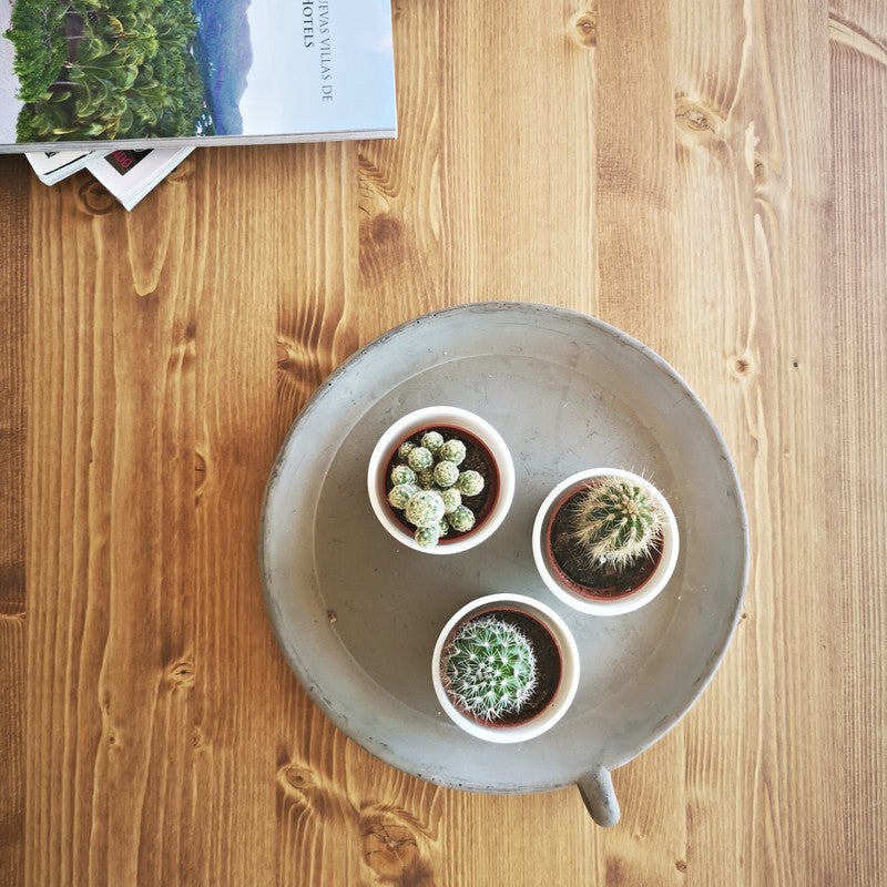 BLENOM Banc en bois massif durable Ica Noyer bord irrégulier 160x31-33x45cm UN - 3