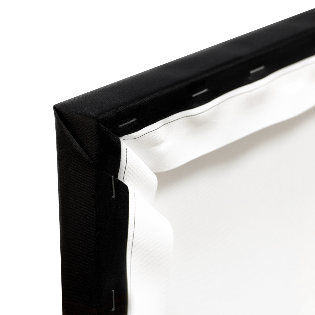 Tableau sur toile perroquets 45x65 cm - 7