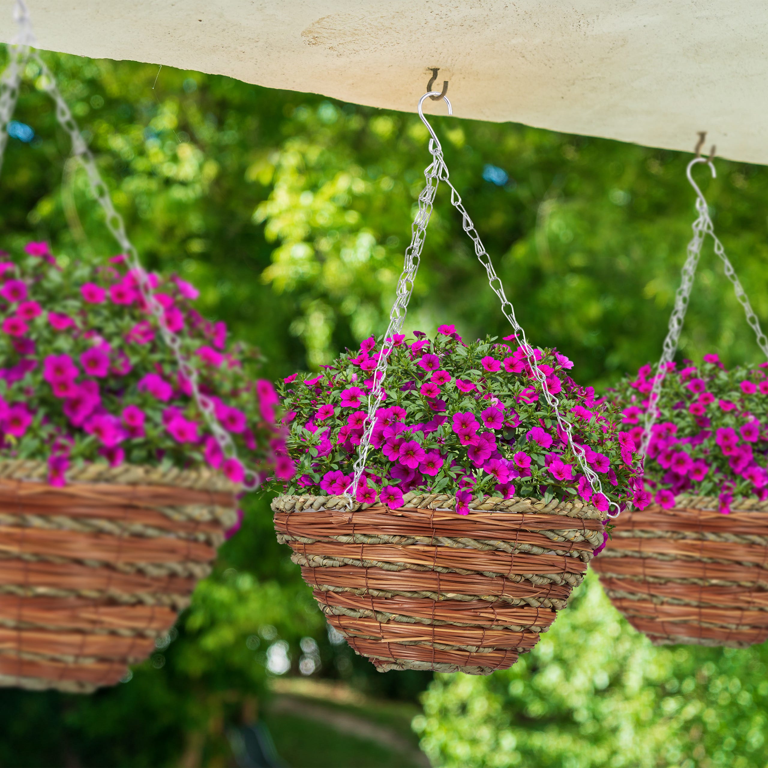 Maceteros Colgantes Leroy Merlin () Maceteros Colgantes Leroy Merlin