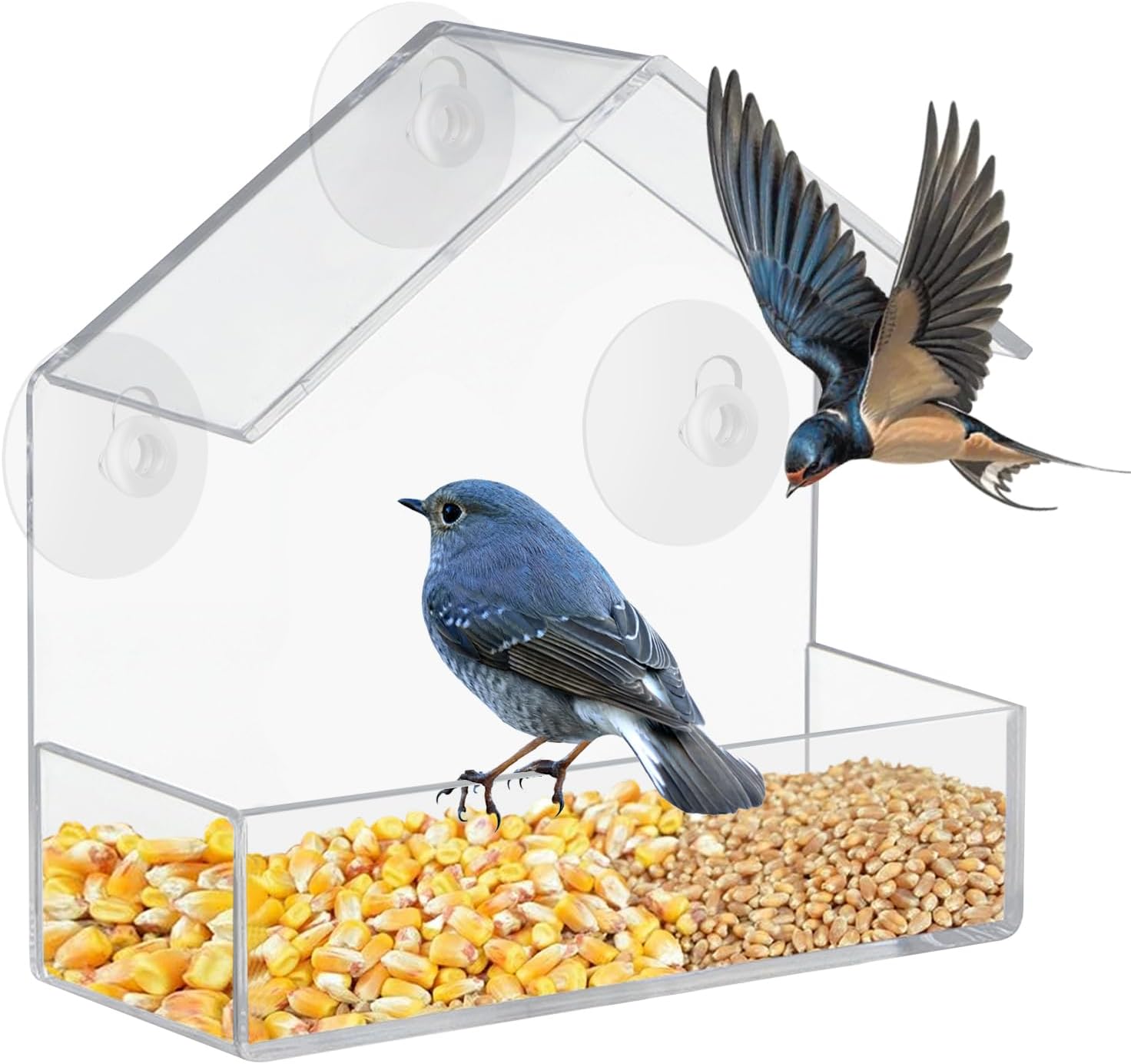 Mangeoire Oiseaux Fenêtre Acrylique Ronde Avec 3 Ventouses - Nichoir Transparent Pour Observation Jardin