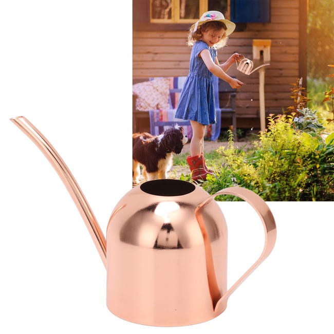 Remiawy Annaffiatoio In Acciaio Inox 201 - 1300 Ml - Beccuccio Lungo 26 Cm - Colore Oro - Per Piante Grasse, Bonsai E Giardino Interno/Esterno