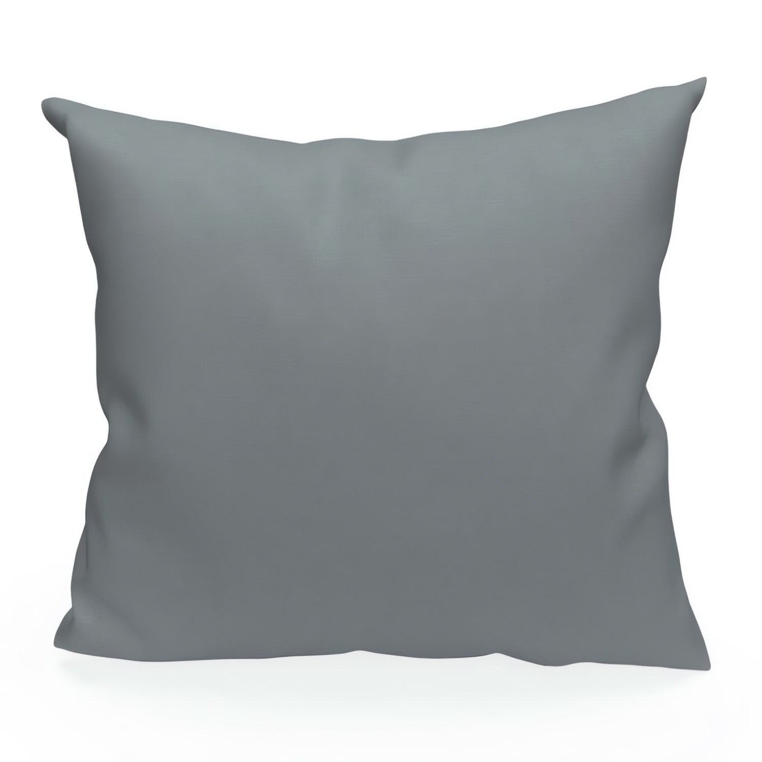 Gris / argent