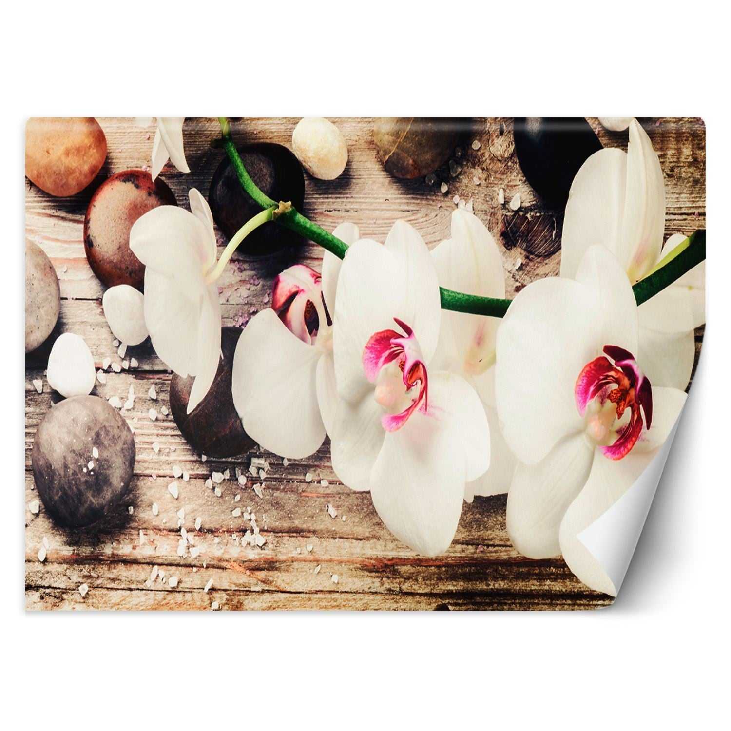 Fototapeta, Orchidea zen feng shui 200x140