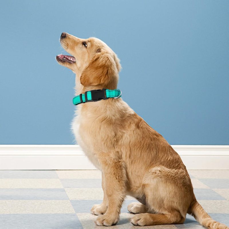 2 peças refletivo coleira para cão, ajustável macio acolchoamento de neoprene coleiras de nylon para animais com fivela para filhote e cães - 2