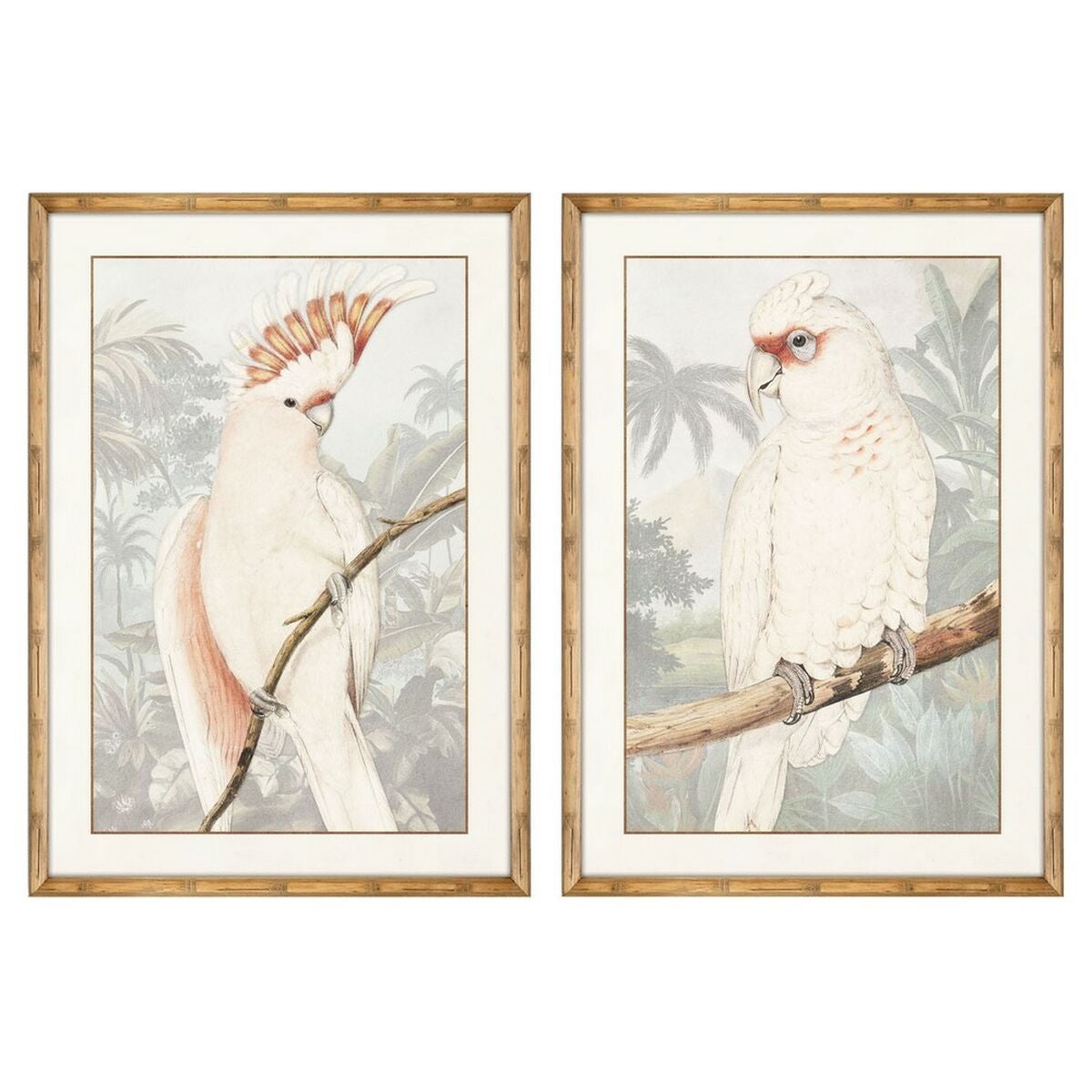 Cuadro dkd home decor loro tropical 50 x 3 x 70 cm (2 unidades)
