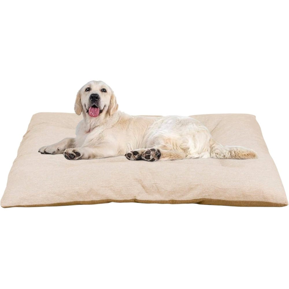 Perro Plastico Camas Para Perros En Carrefour Sodimac Cama De