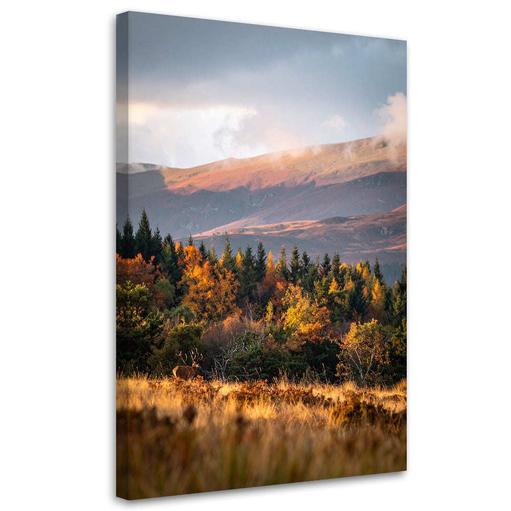 Obraz do salonu sypialni biura, Pejzaż góry doliny natura 70x100
