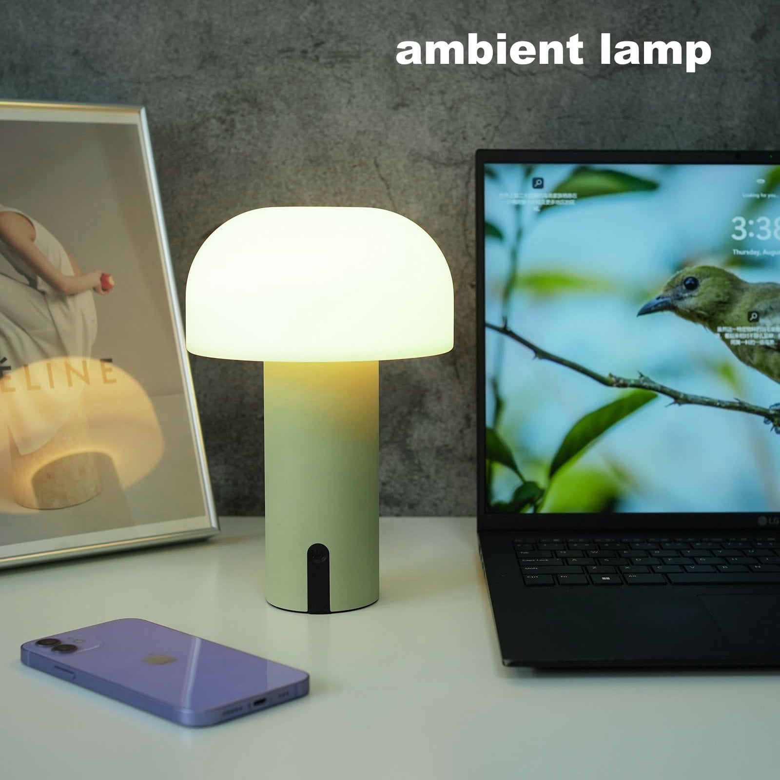 Lampe de Table champignon d'extérieur, étanche, sans fil, Rechargeable, lampe de bureau LED avec chargement USB, veilleuse à intensité variable - 3