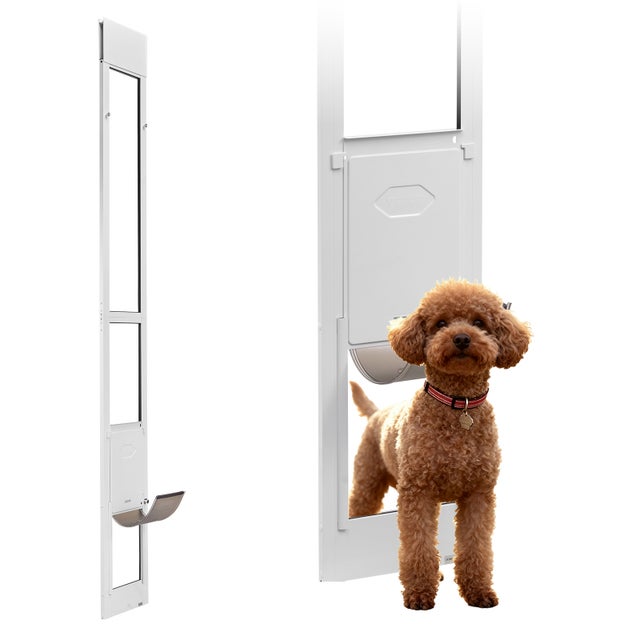 Porta para animais estimação VEVOR para cães e gatos, porta de vidro deslizante, altura ajustável de 2311 a 2439 mm, estrutura em alumínio, tamanho M