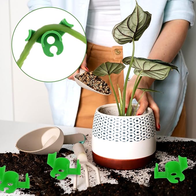 Pinces de pliage de plantes à 90 °, 20 pièces, outil de pliage de plantes, Support de vigne de légumes, Clips de Support de jardin - 5