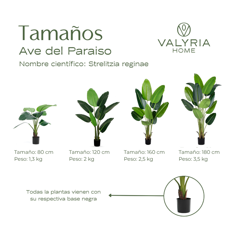 Planta Artificial Ave del Paraíso 80 cm – Strelitzia Decorativa ideal para Casa y Oficina - 9