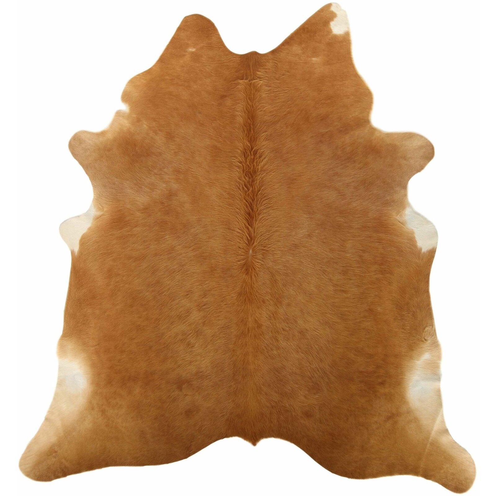 Peau de vache marron XXL