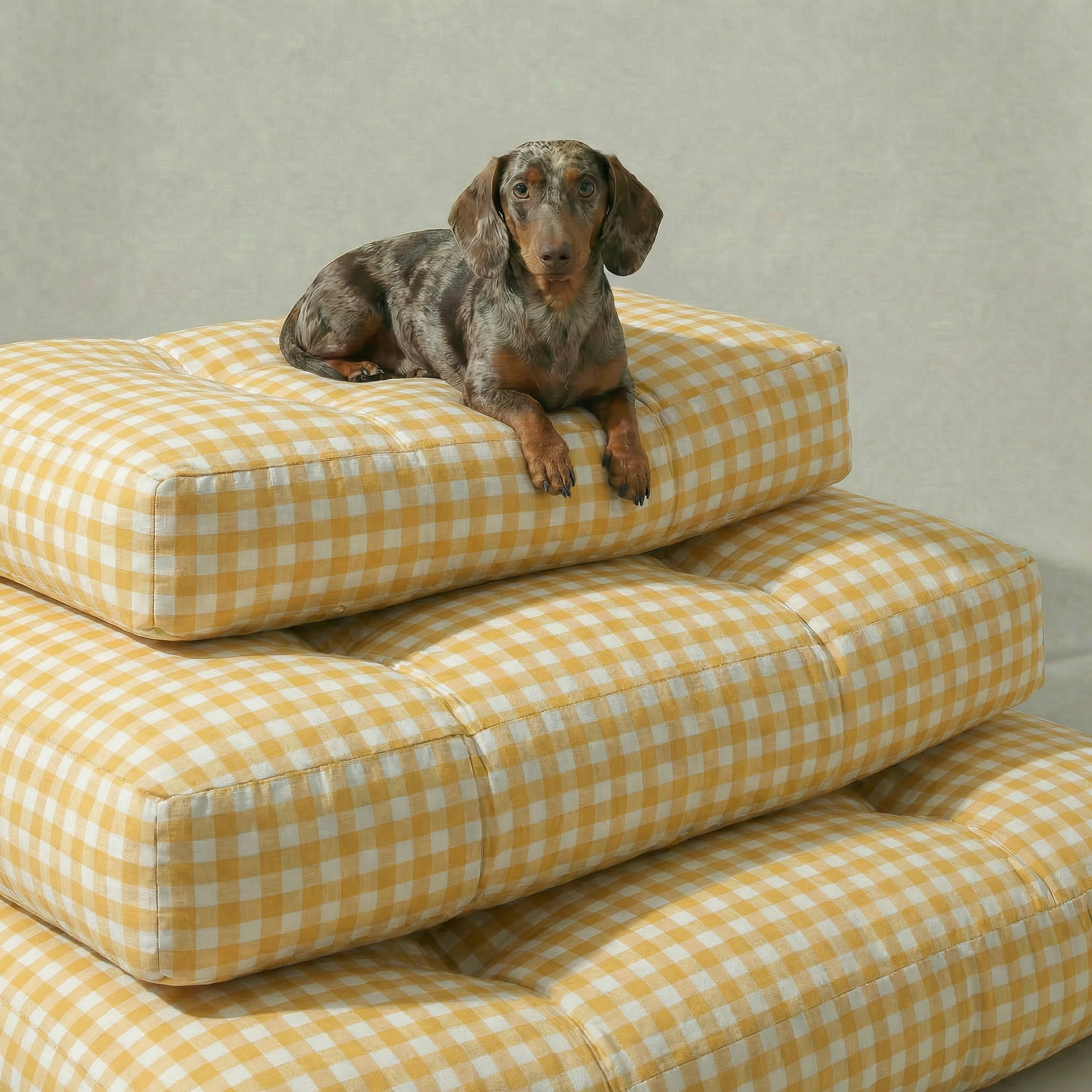 Cama para mascota gruesa y acolchada con acabado antimanchas Vichy ...