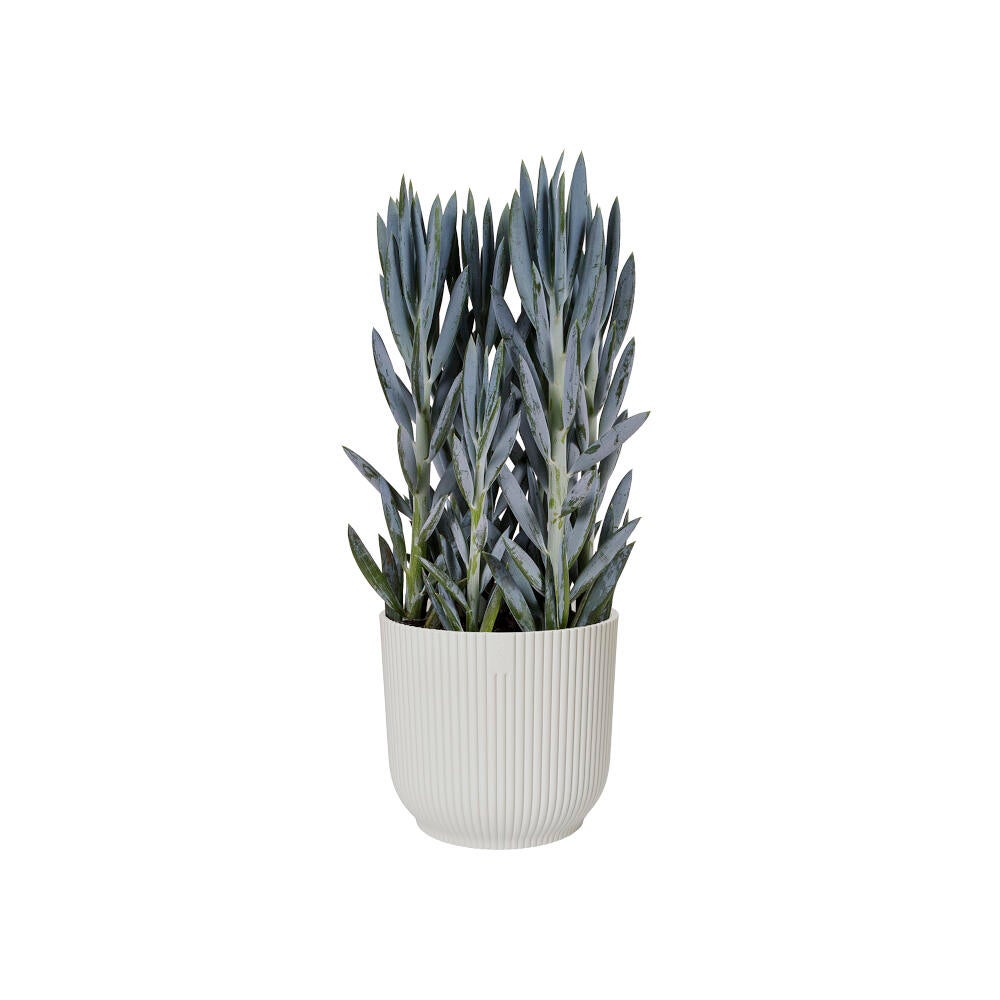 ELHO VIBES MACETERO BLANCO 14CM - 3